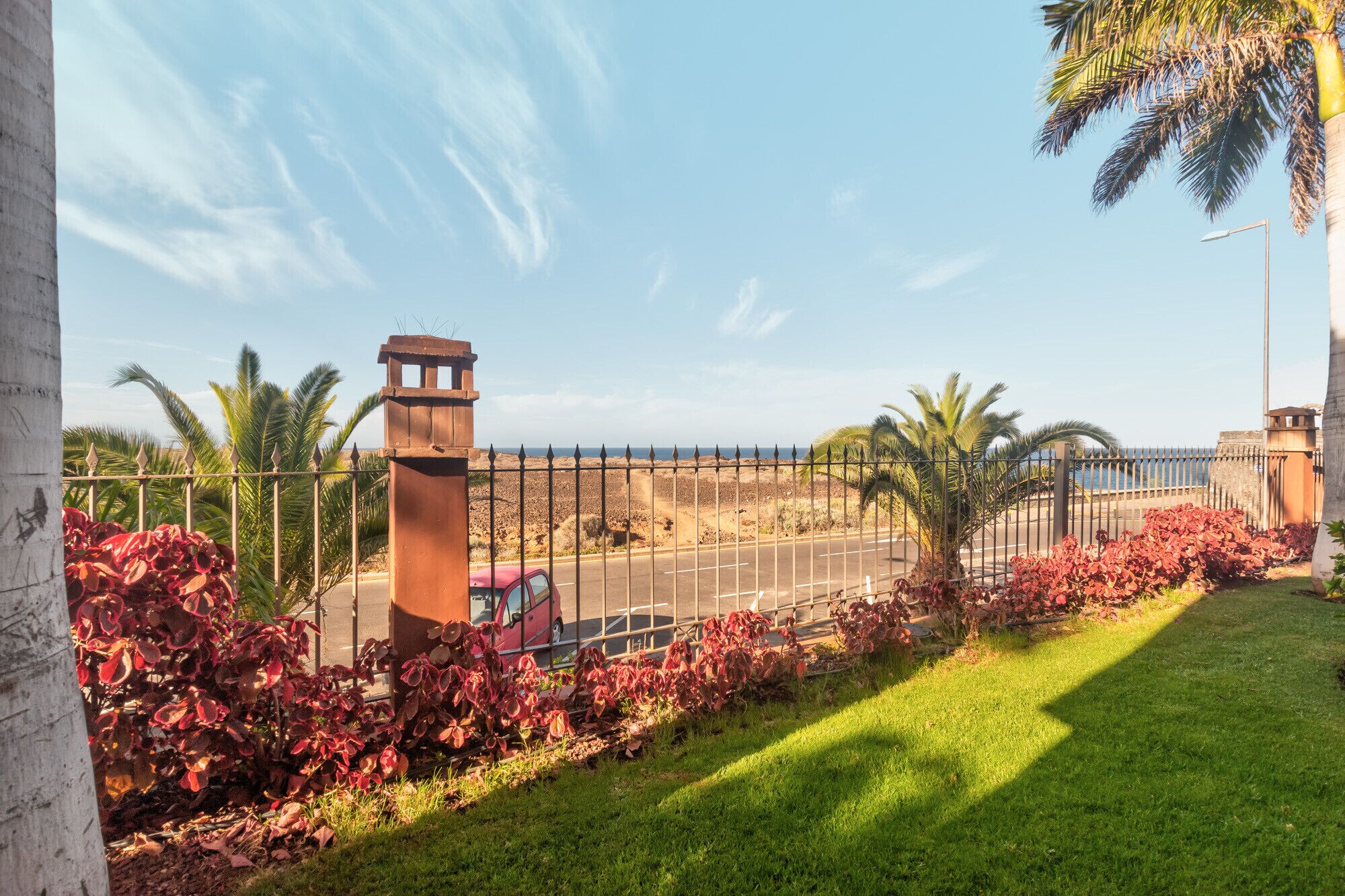 A coastal view with a fence, palm trees, and a road.