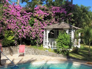 Outdoor pool - Bungalow in a large tropical garden (La possession)