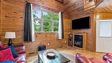 Een televisie, een open haard, een dvd-speler en een filmbibliotheek