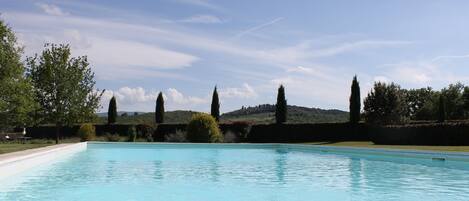 Seasonal outdoor pool, sun loungers