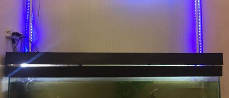 A large aquarium with a fish tank and LED lighting.