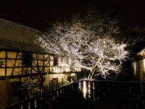 Property grounds - L'Ours (Bischwiller)