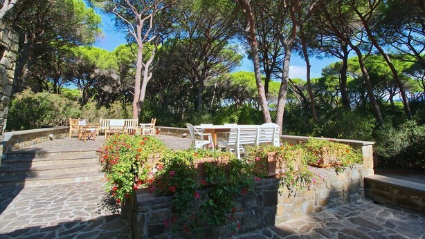 A stone patio with outdoor furniture, surrounded by lush greenery and trees.