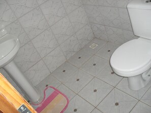 A bathroom with a toilet, a bidet, and a shower area.