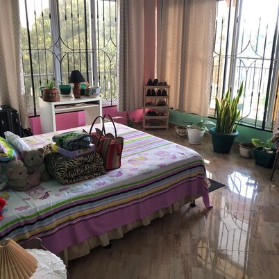 The house is allocated 15min from the Julius Nyerere International Airport.