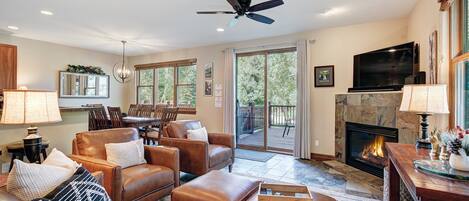 Televisión, chimenea, reproductor de DVD