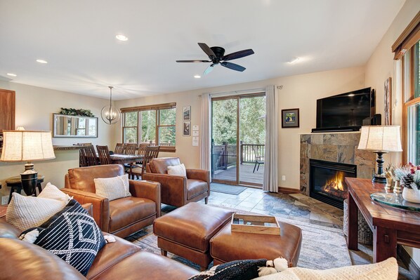 TV, fireplace, DVD player