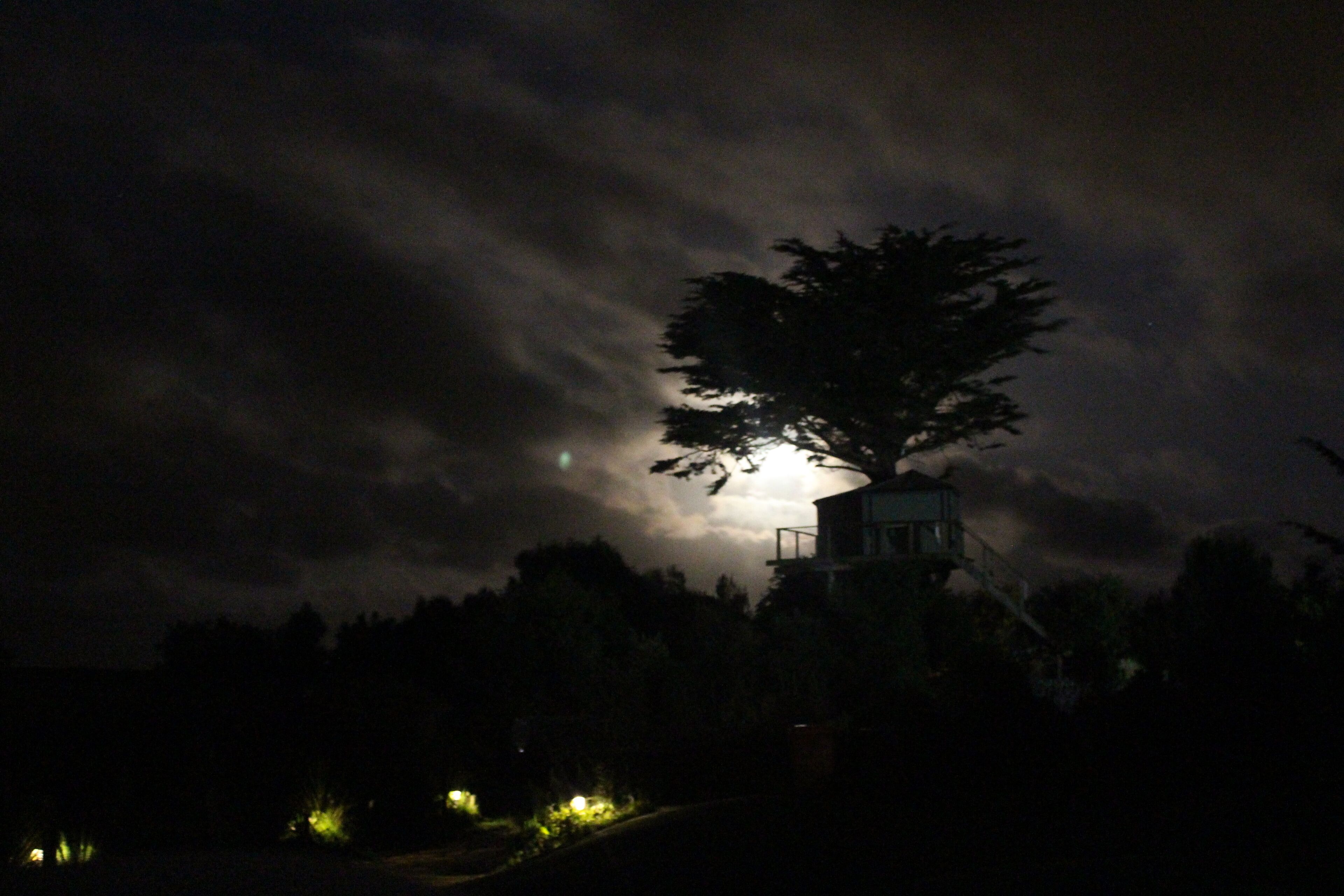 A night scene with a tree and a structure, possibly a lookout or observation point, under a cloudy sky.