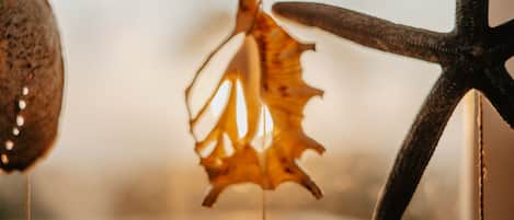 A close-up of a seashell and a starfish hanging from a string.