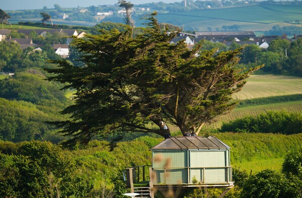 A treehouse with a metal roof and a wooden deck, surrounded by lush greenery and fields. - Atlantic Surf Pods - Campsite (Bude)