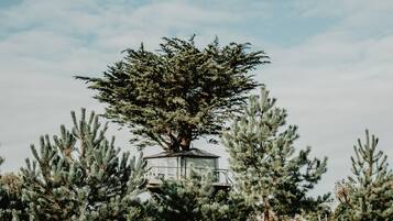 A treehouse with a large tree in the center, surrounded by other trees.