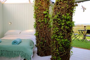 树屋 | 免费 WiFi、床单