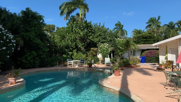 A swimming pool with a curved edge, surrounded by lush greenery and palm trees. - Zen Garden Private Guest House by Beach n Golf (Naples)