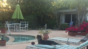 A pool area with lounge chairs, a small dog, and potted plants. - Zen Garden Private Guest House by Beach n Golf (Naples)