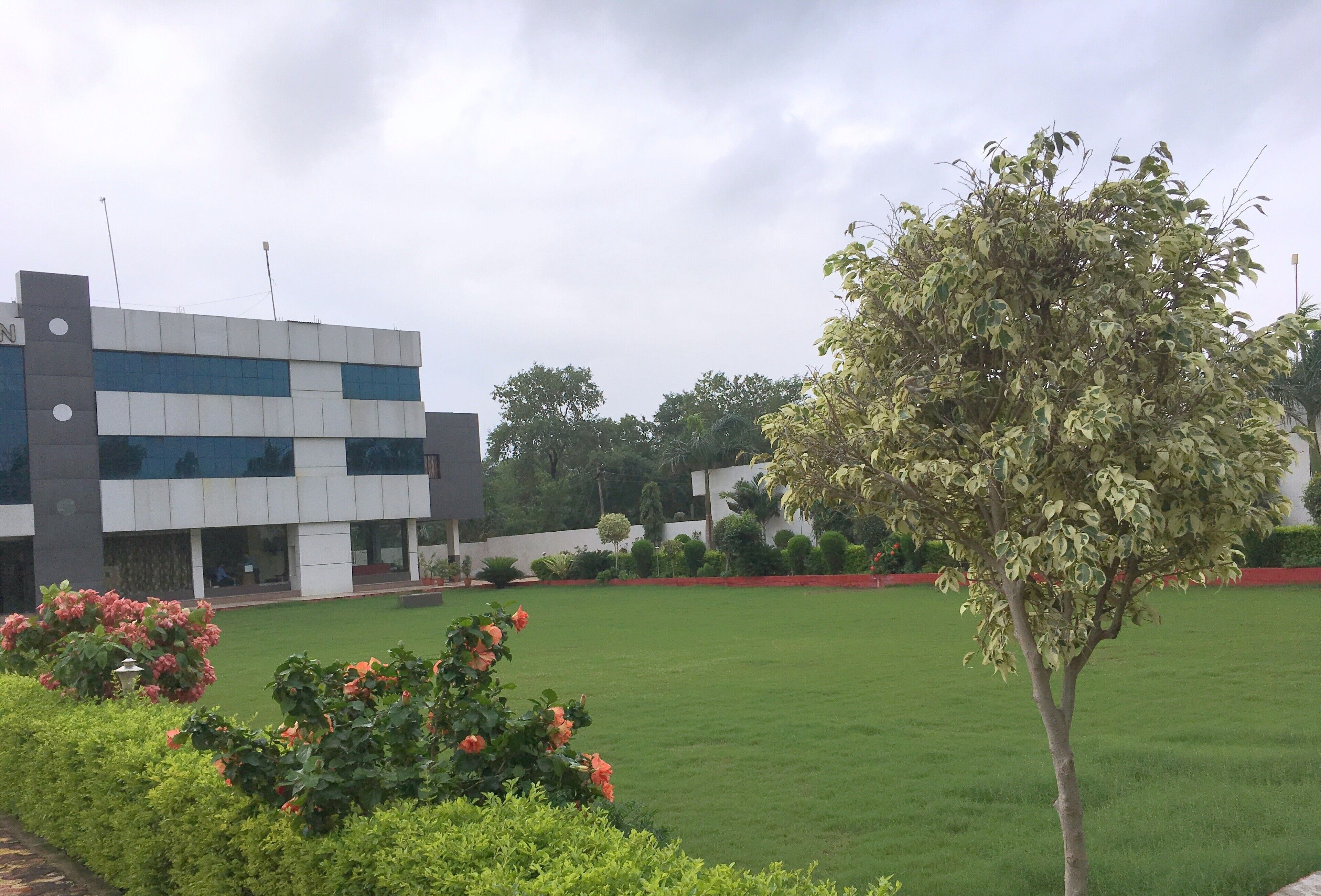 A modern building with a flat roof and a large lawn area.
