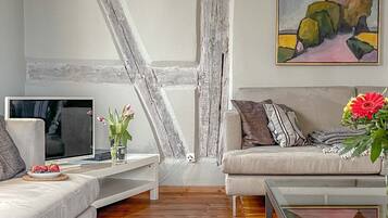 TV, fireplace, DVD player