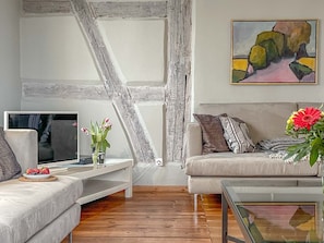 TV, fireplace, DVD player