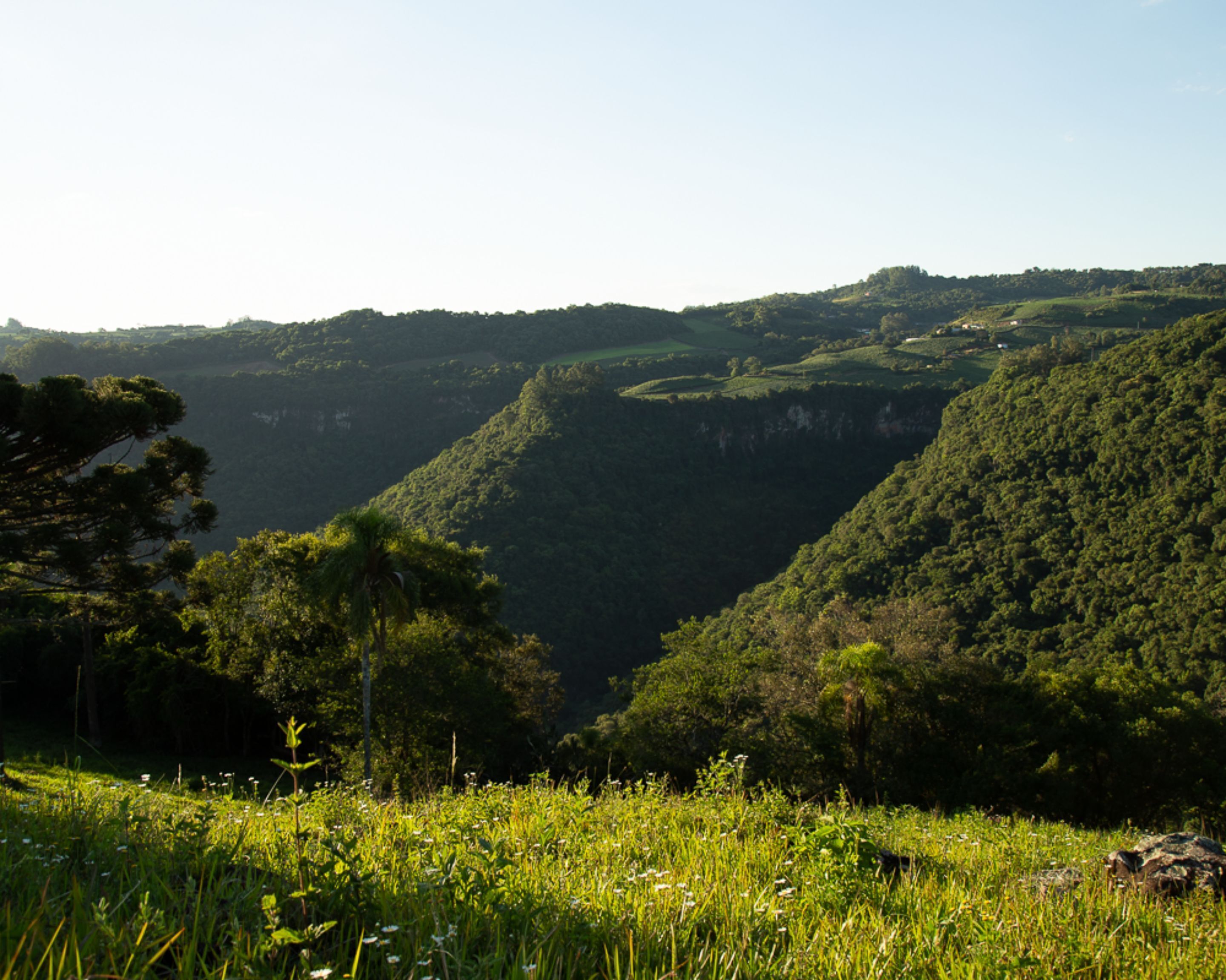 Un paisaje montañoso con vegetación exuberante y un valle.