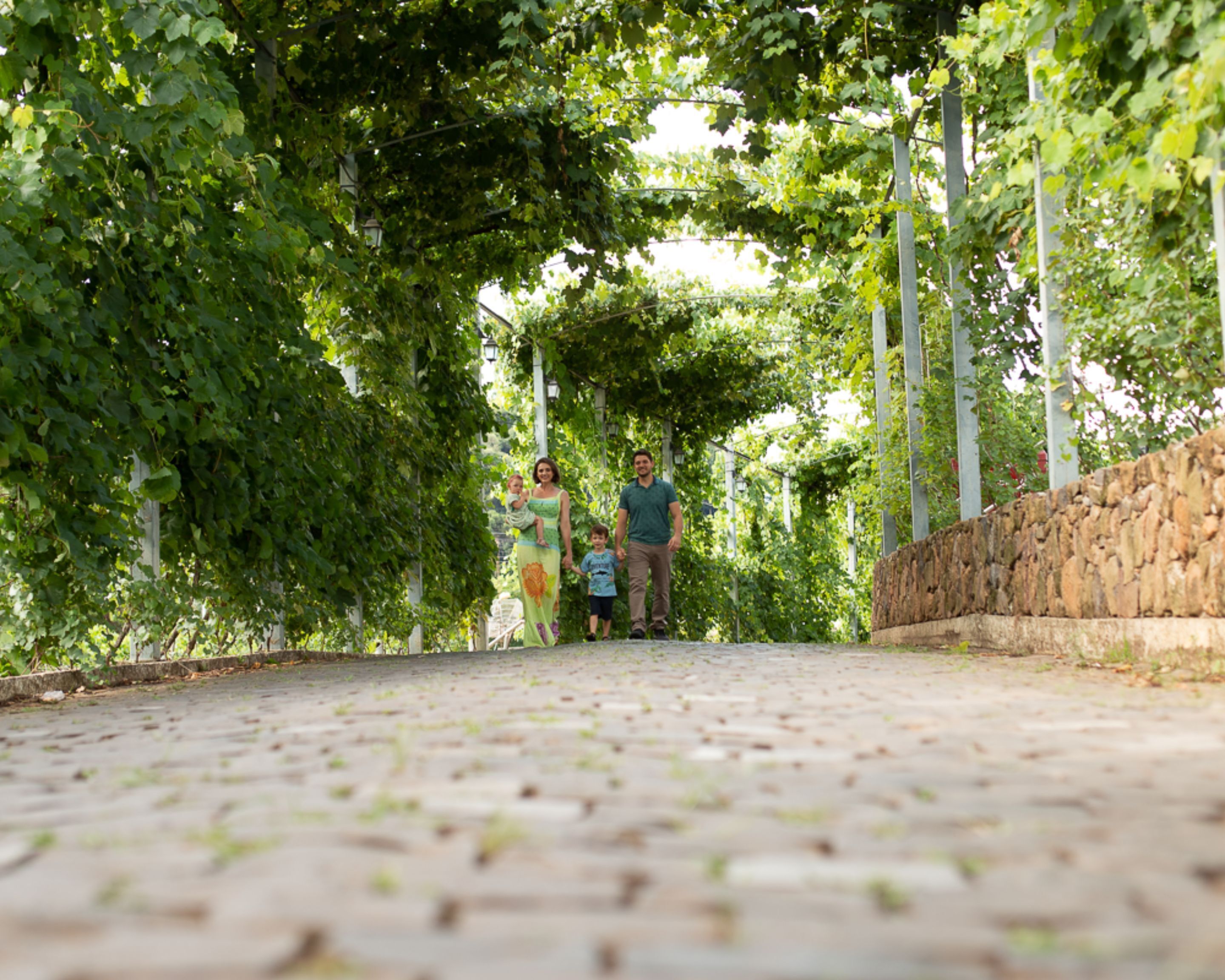 A cobblestone pathway lined with trees and a stone wall.