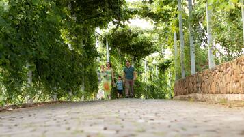 A cobblestone pathway lined with trees and a stone wall.