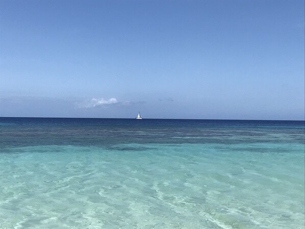 Enjoy breathtaking views of the turquoise waters and sandy bottom from this serene coastal location.