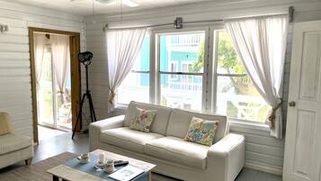 Smart TV, DVD player