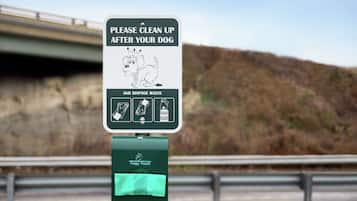 Letrero que indica limpiar después de los perros y desechar los desechos, con un dispensador de bolsas para excrementos.