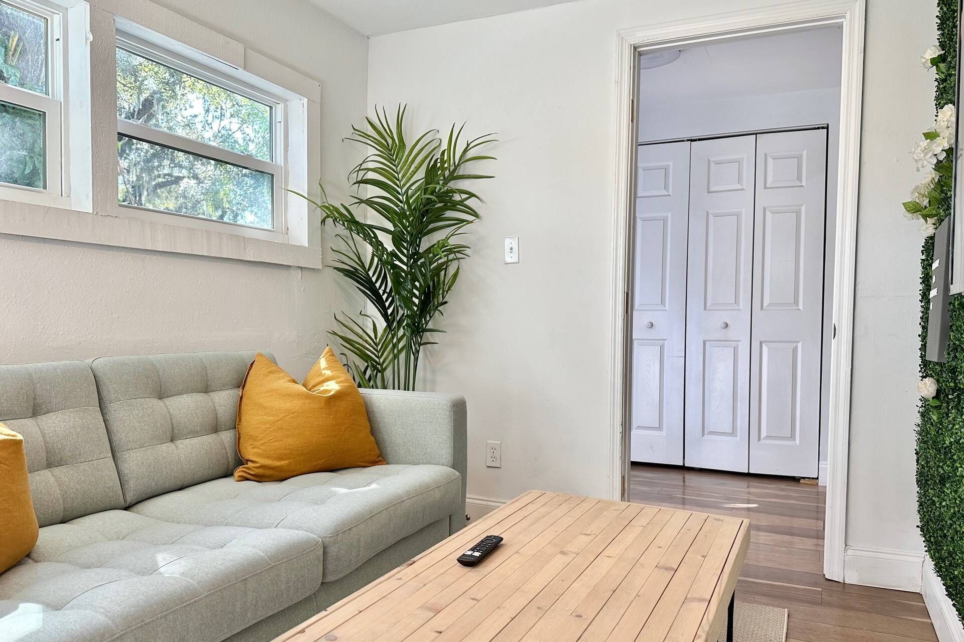 A living room with a grey sofa, a wooden coffee table, and a large green plant.