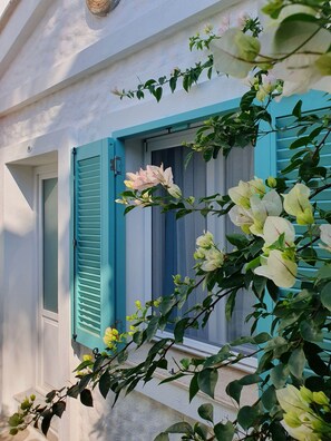 EGE KONSEPT DELUXE 8 | Blick auf den Innenhof