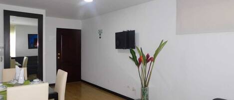 40-inch LCD TV with satellite channels, TV