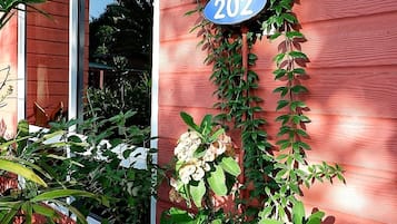 บริเวณภายนอก