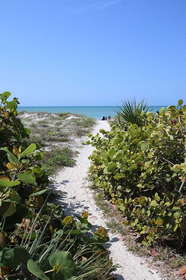 Khuôn viên nơi lưu trú