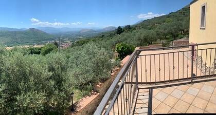 An oasis of peace among secular olive trees