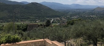 An oasis of peace among secular olive trees