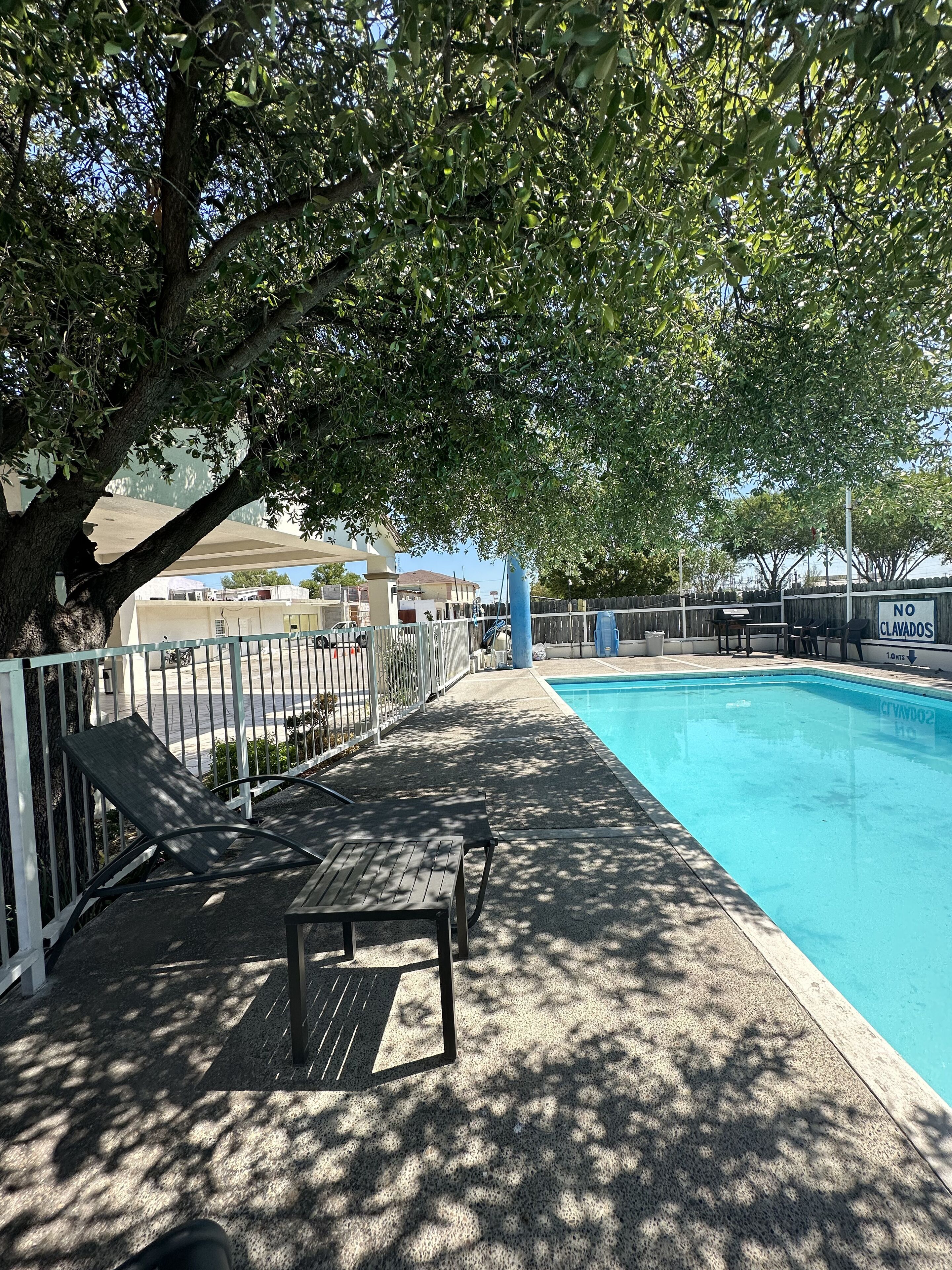 A swimming pool area with a fenced deck, lounge chairs, and a tree providing shade.