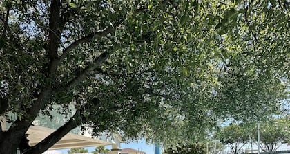 QUINTA SAN CARLOS INN