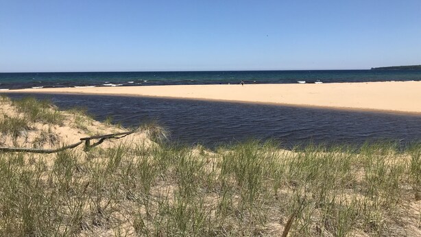 Ein Strand mit Sand und vereinzelten Grasbüscheln im Vordergrund.