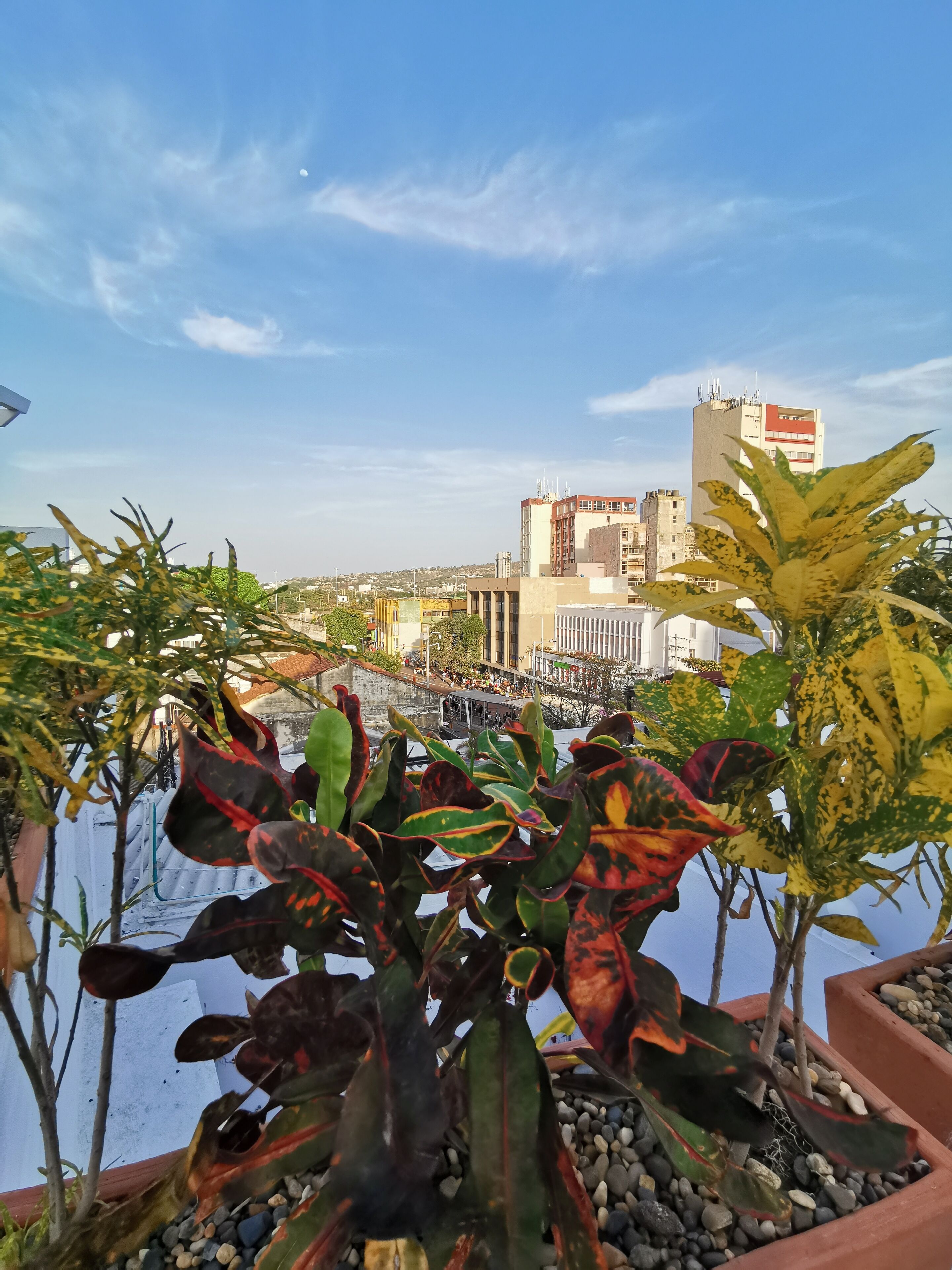 Photo - Luka Cartagena Hotel