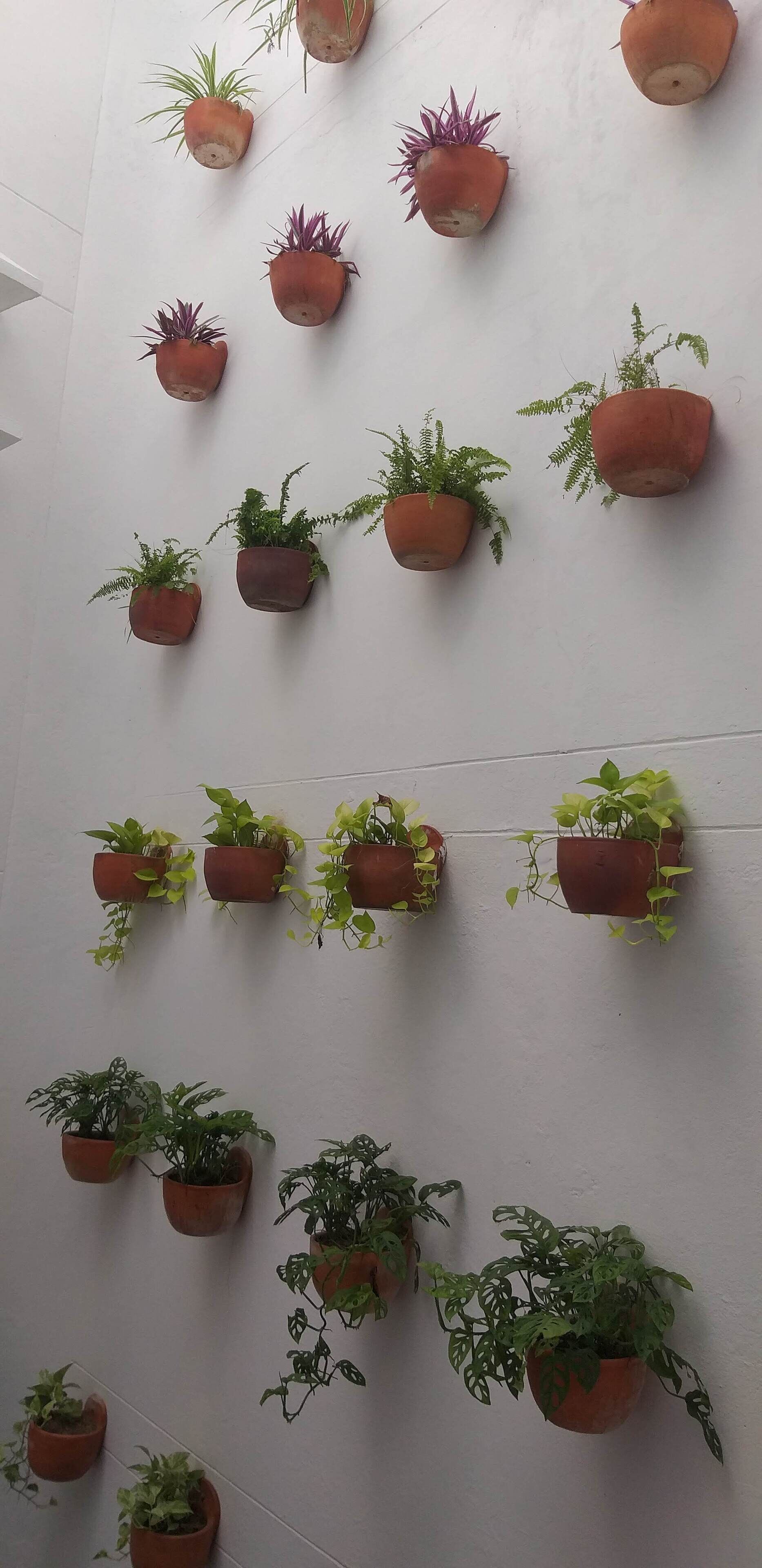 Photo - Luka Cartagena Hotel