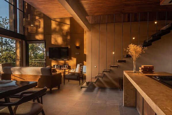 TV connectée, cheminée, jeux vidéo, table de tennis de table