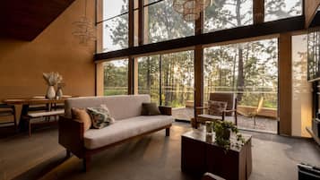 Televisor intel·ligent, llar de foc i videojocs