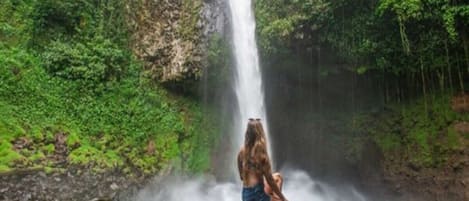 A person sitting on a log by a waterfall in a forested area.