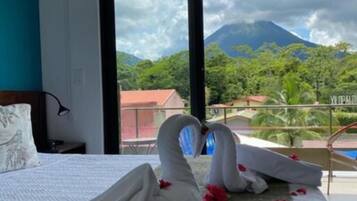 Premium | View from room