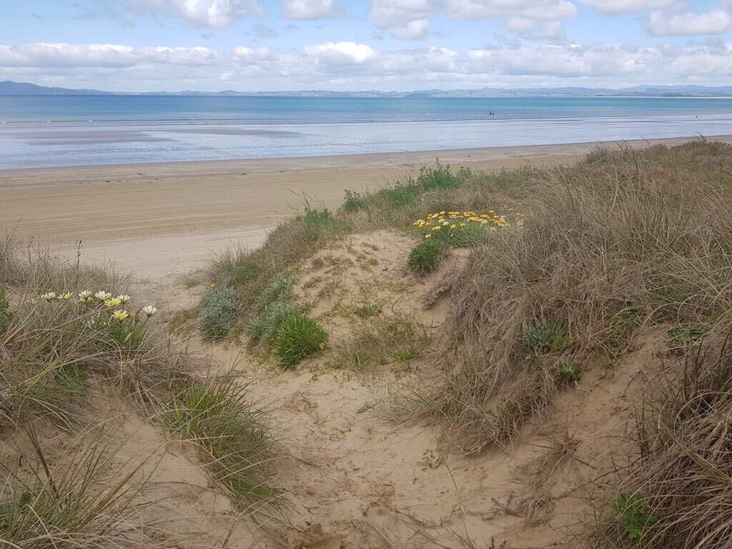 On the beach, sun-loungers, beach towels