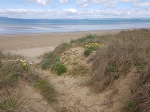 Une plage avec des dunes de sable et des fleurs jaunes.