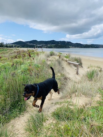 BACH 188 ON THE BEACH