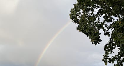 Houghton Lake Heights cabaña justo en el agua !!