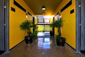 Interior - Arboleda 5 (Silao)