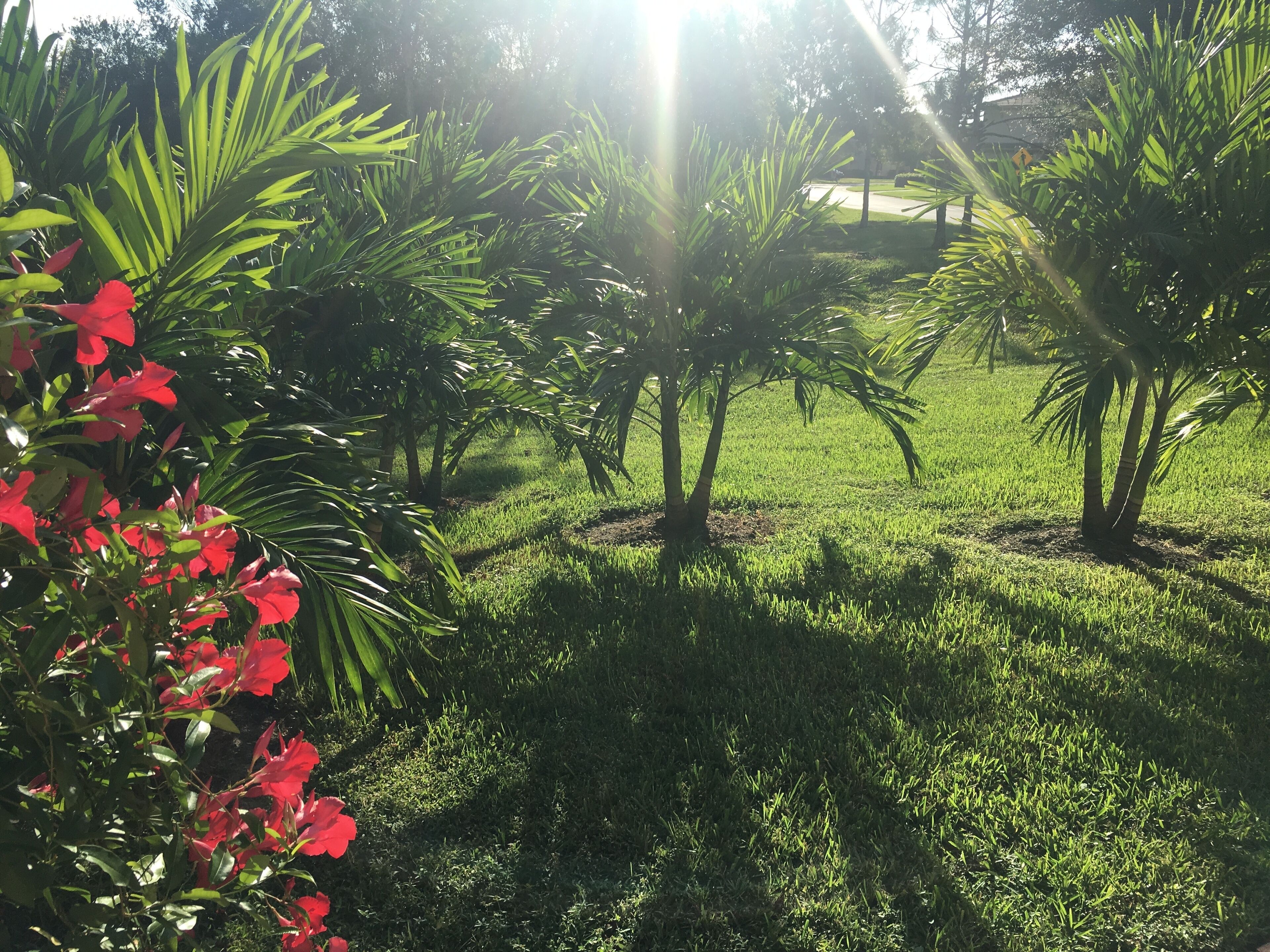 Stuart Private vacation home