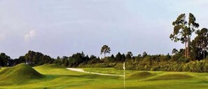 Un parcours de golf avec des bunkers de sable, un mât de drapeau et une rangée d’arbres en arrière-plan.
